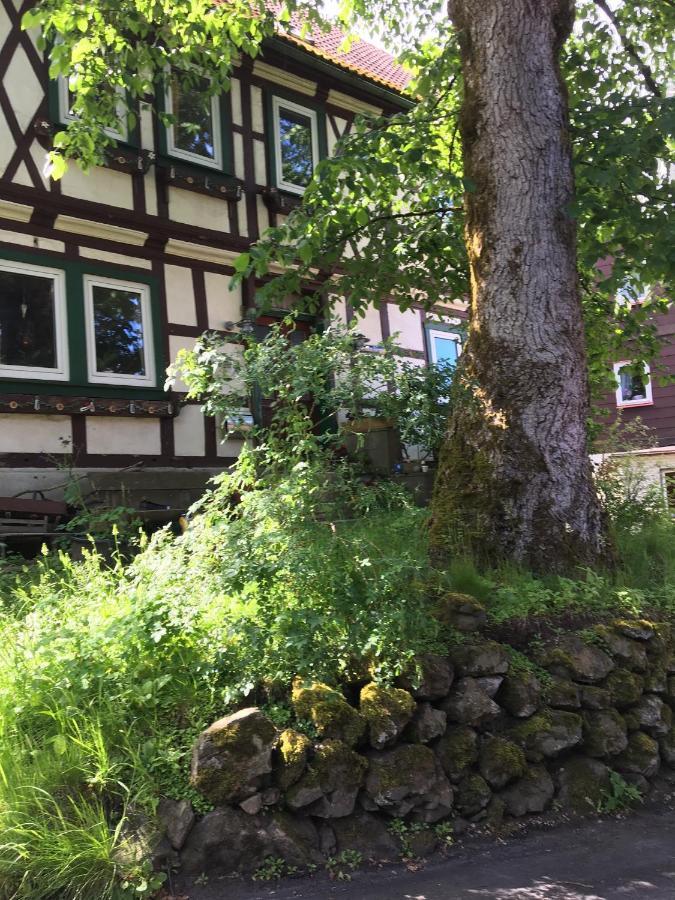 Ferienwohnung Harzblick 1 Braunlage Exterior photo